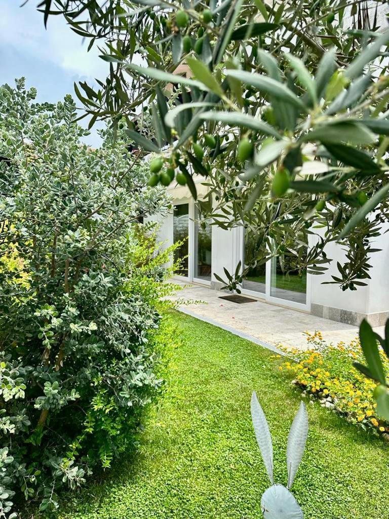 Casa Mila White Villa Marina di Cerveteri ภายนอก รูปภาพ