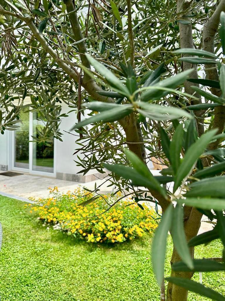 Casa Mila White Villa Marina di Cerveteri ภายนอก รูปภาพ